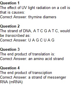 Module 6 Test